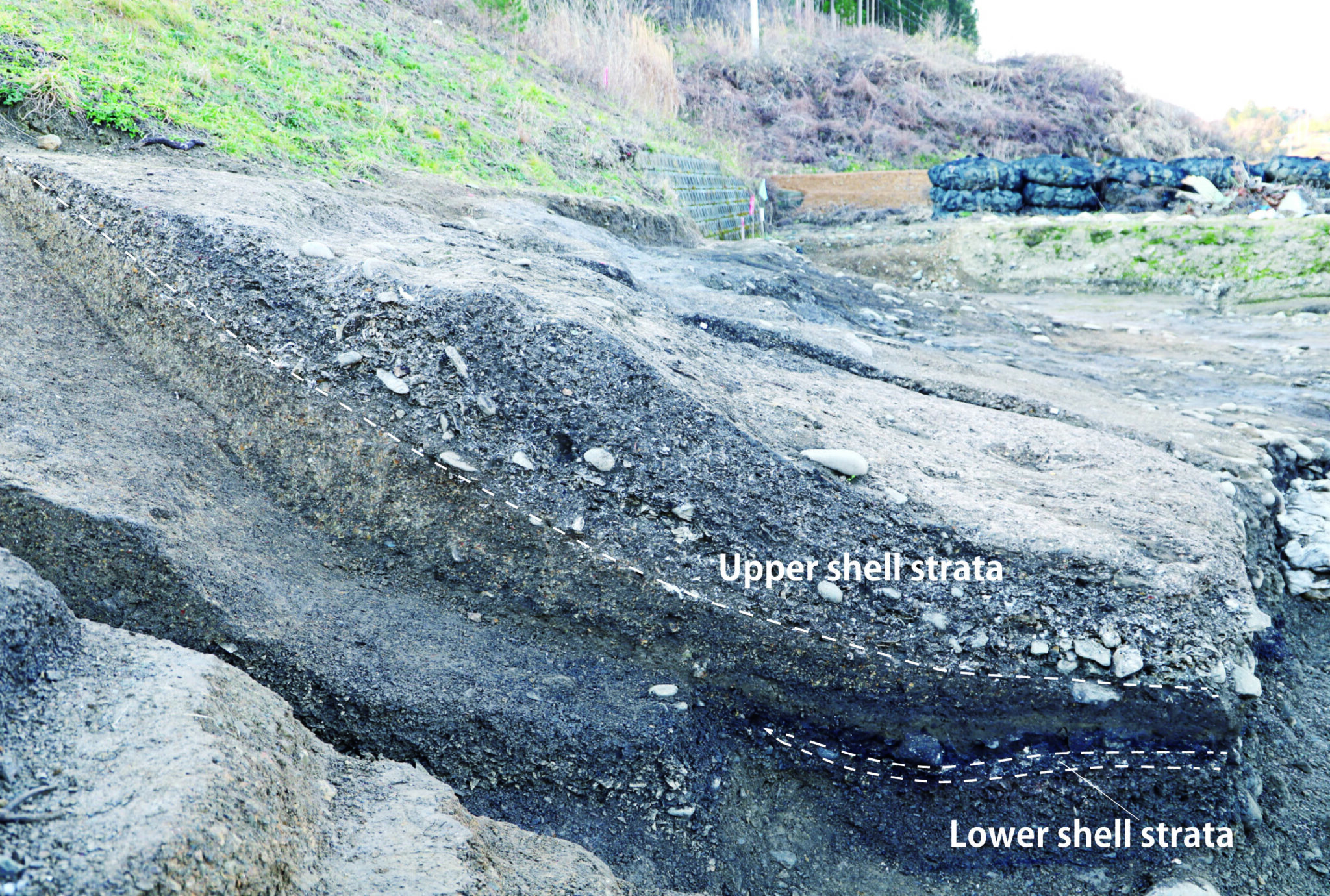 Ōkubo Shell Midden