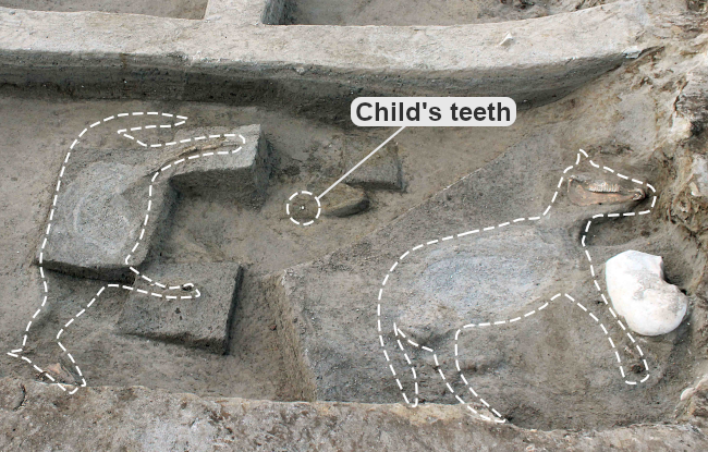 A child and two horses buried by pyroclastic flow