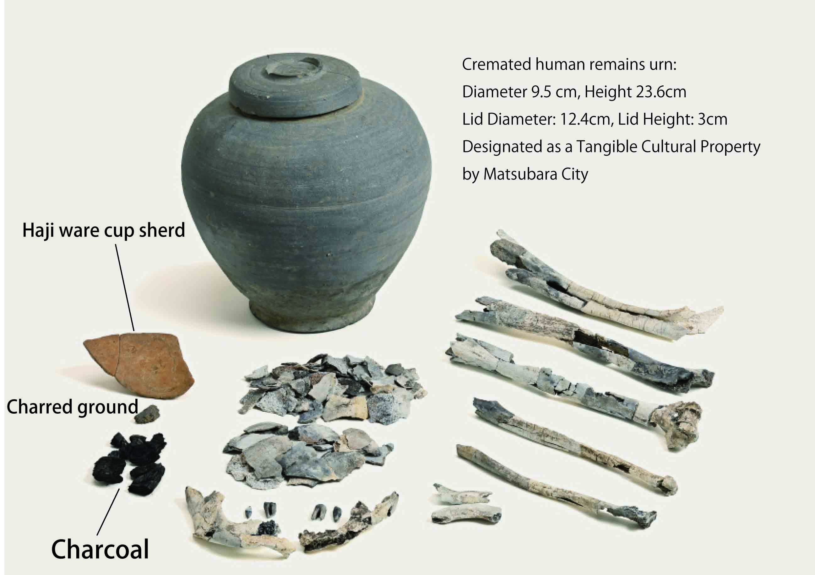 Objects found within the cremation grave