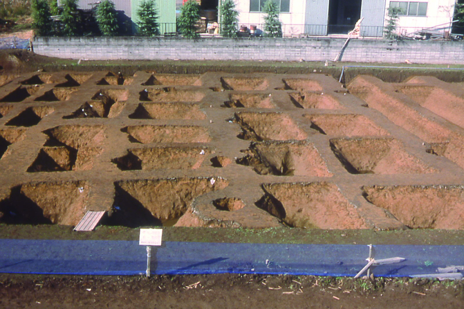 Square pits aligned in an orderly fashion, similar in shape to that of a shoji sliding paper door (view of the southern side of Gonomaru)