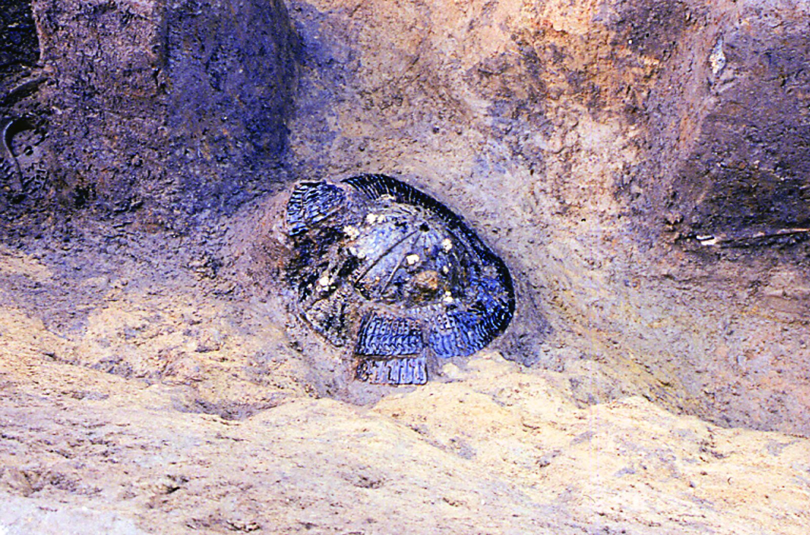 Kabuto helmet at the time of excavation